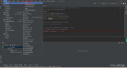 使用IntelliJ IDEA创建Web开发项目 计算机软硬件的开发与应用